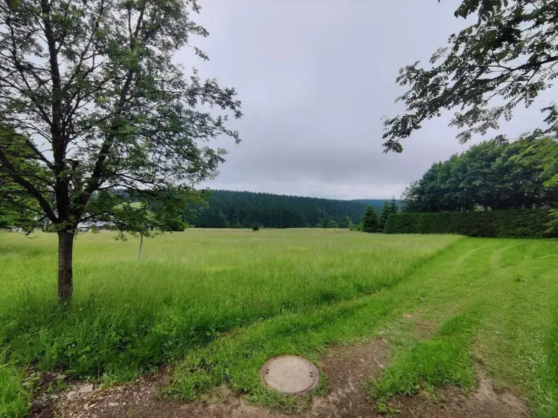 Pet-friendly Getaway