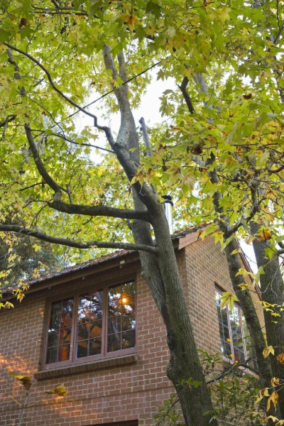 Cherrytree Cottage