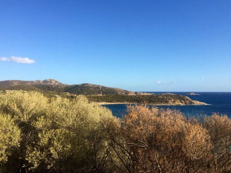 Casa del Mirto Bianco