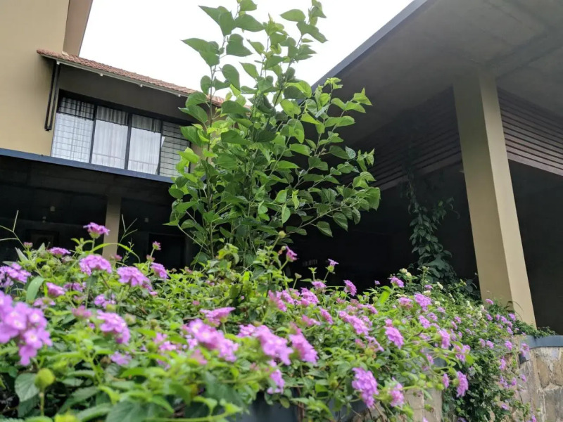 1 BR Boutique stay in Meppadi, Wayanad, by GuestHouser (CE2D)