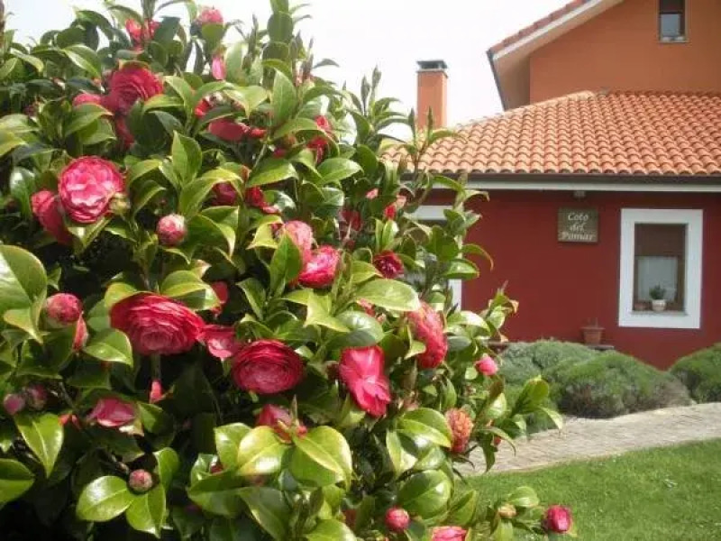 Hotel Coto del Pomar