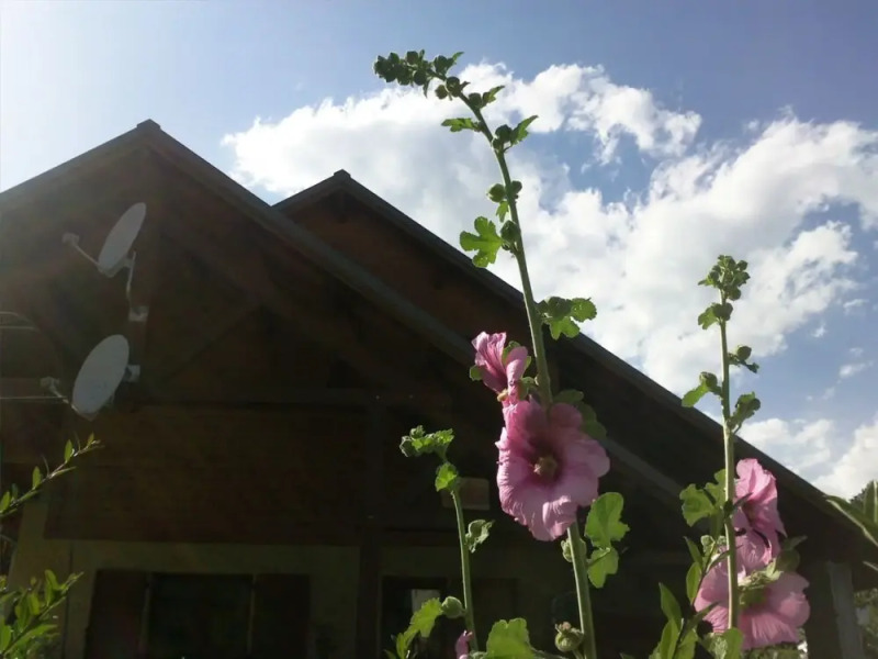 B&B La Borella Casa Conti