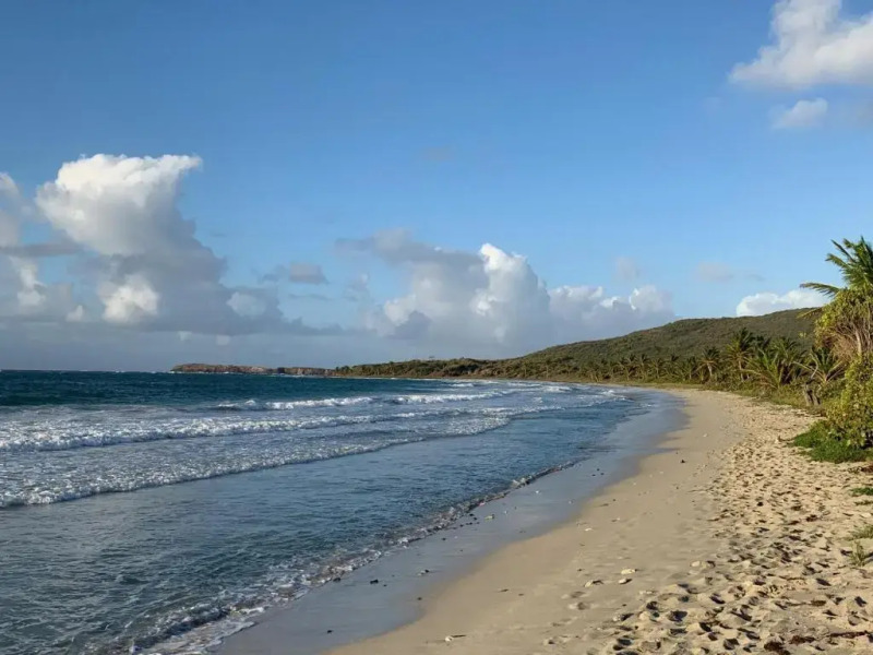 Appartement Le Marin, 3 pièces, 4 personnes - FR-1-668-1