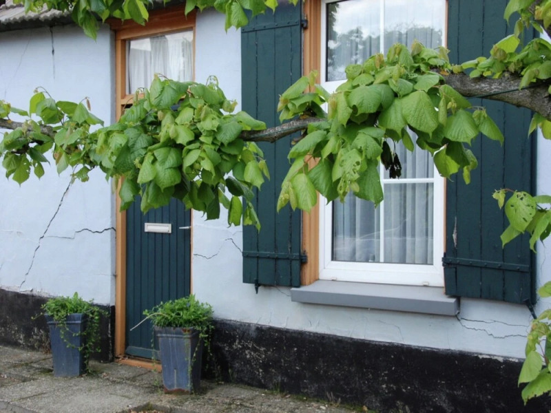 Spacious Holiday Home in Borkel en Schaft With Garden