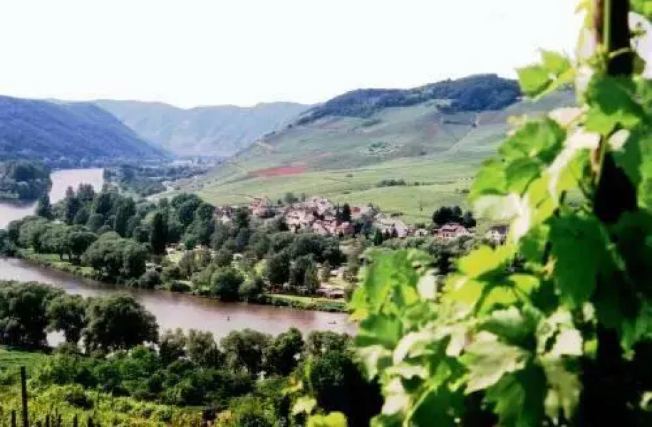 Pension Am Römerberg