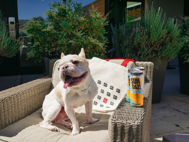 Quality Inn Stanford/silicon Valley