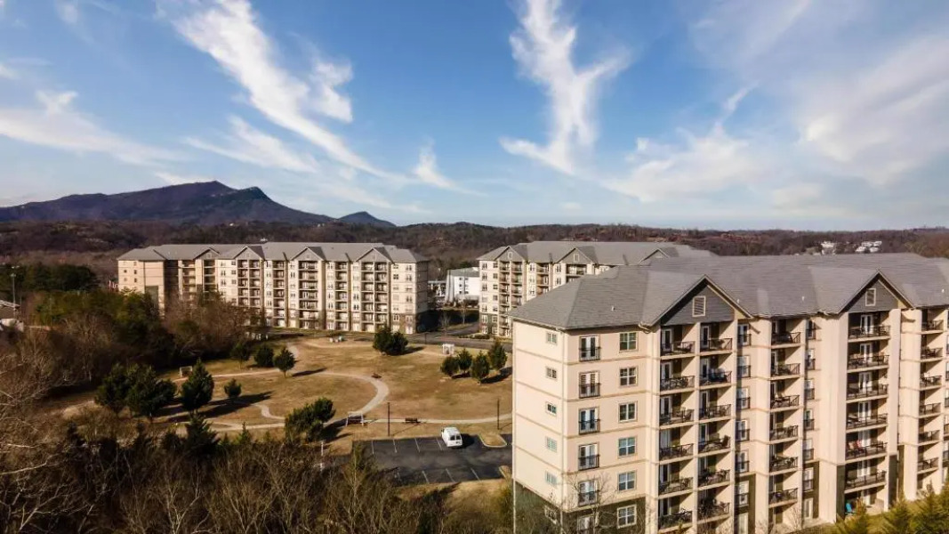 MVC - Unit 2701 - Sweet Bear