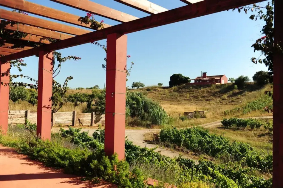 Reserva Alecrim Eco Suites & Glamping