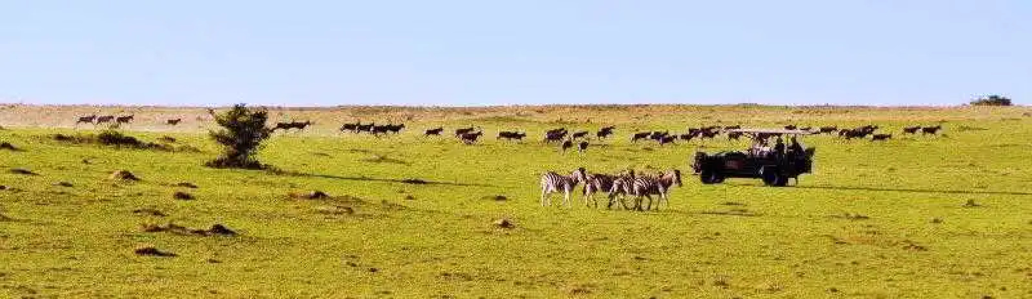 Pollards Inn Hotel, Kwantu Game Reserve
