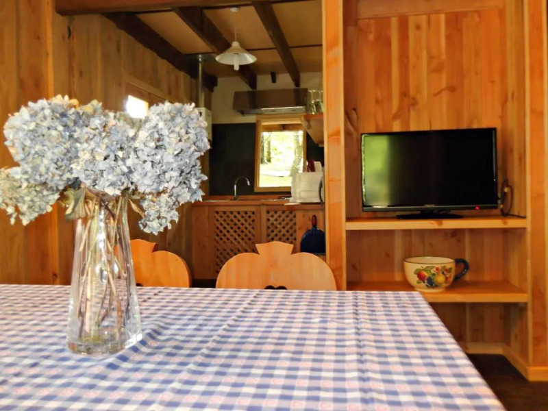 hotel salto del carileufu