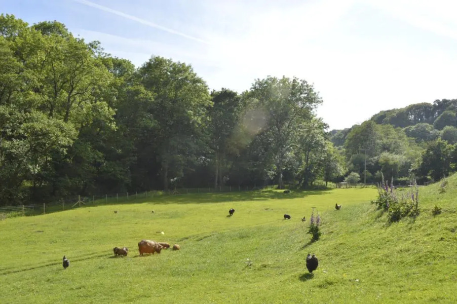 Troedyrhiw Bed & Breakfast