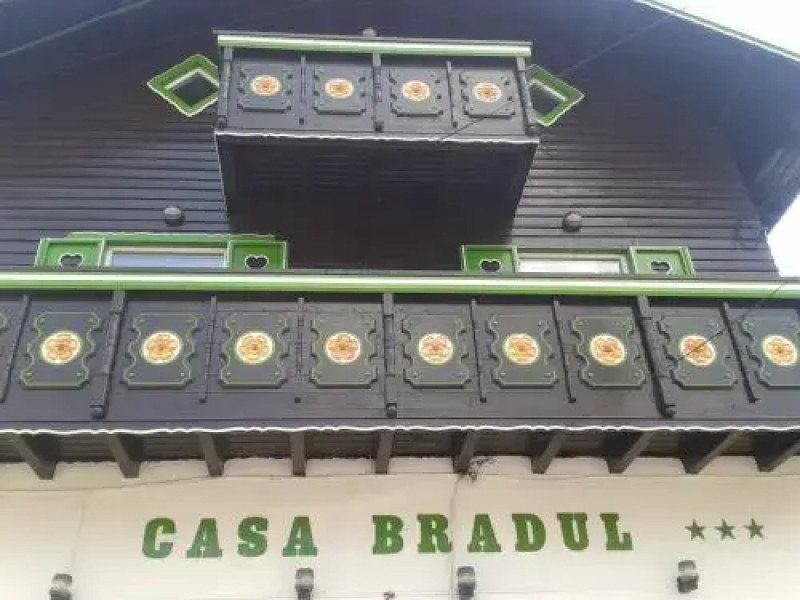 Pension Casa Bradul