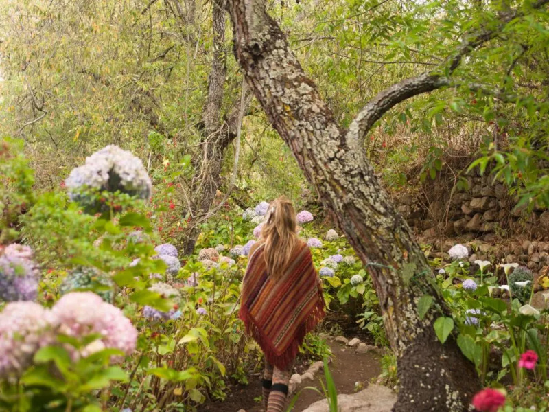 Willka T'ika Essential Wellness