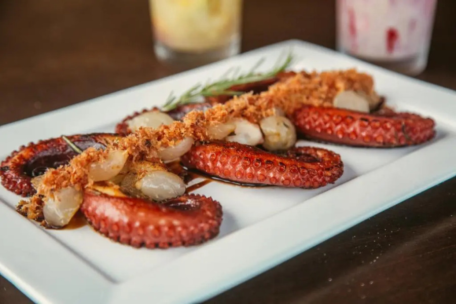 Reserva de Tatuamunha