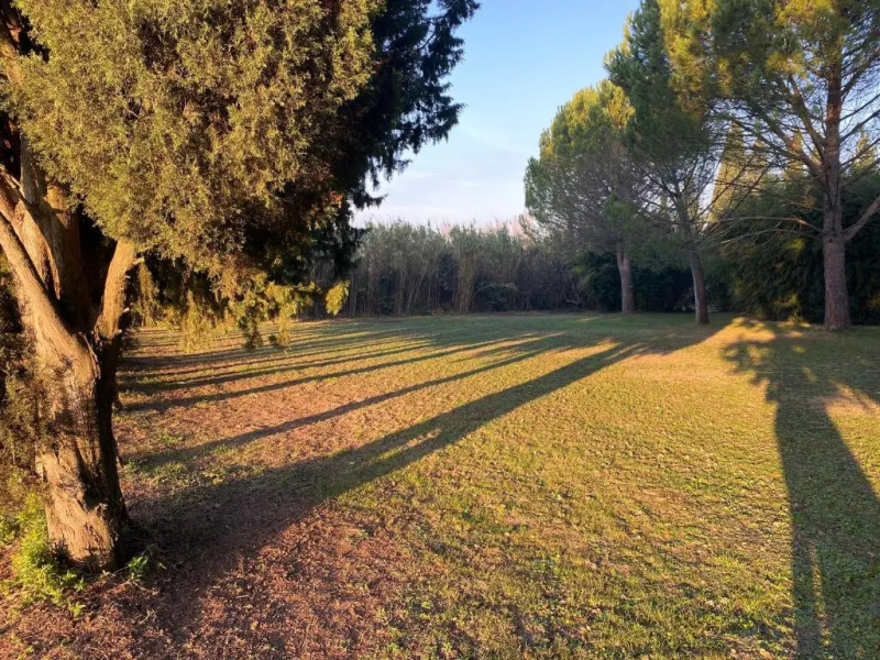 Mas la Pauline Gîtes de charme & roulotte