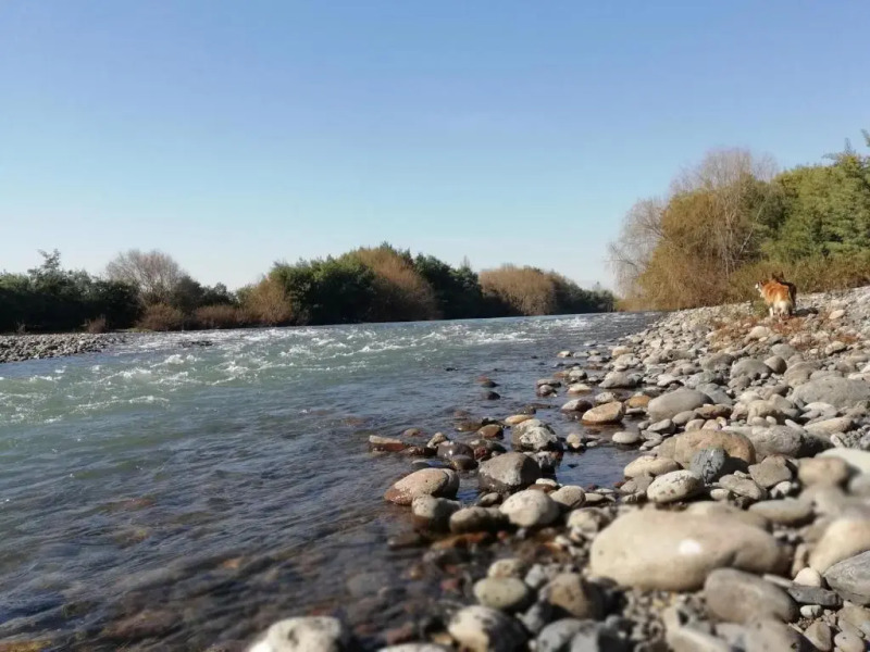 Parcela el kaqui, Talca