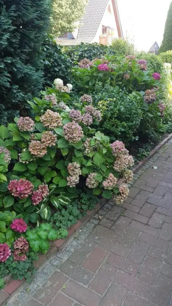 Stylisches Garden Cottage