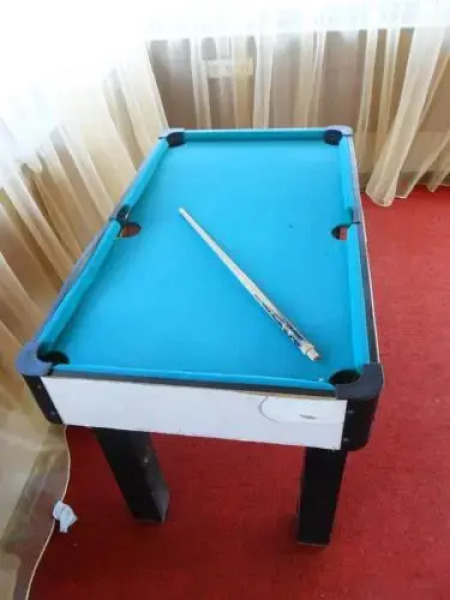 Recreation Center Dolphin