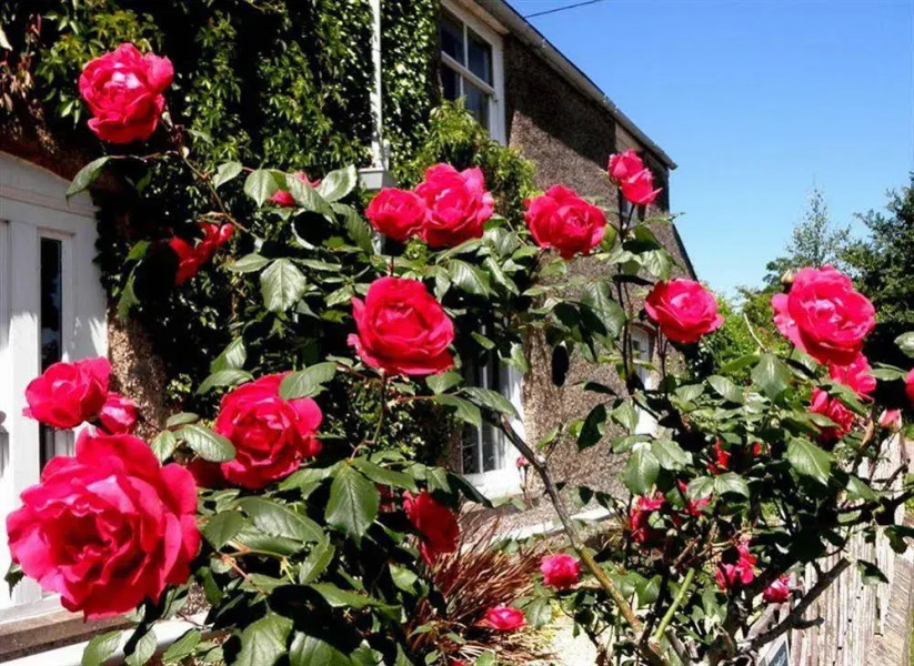 Brampton Cottage B&B