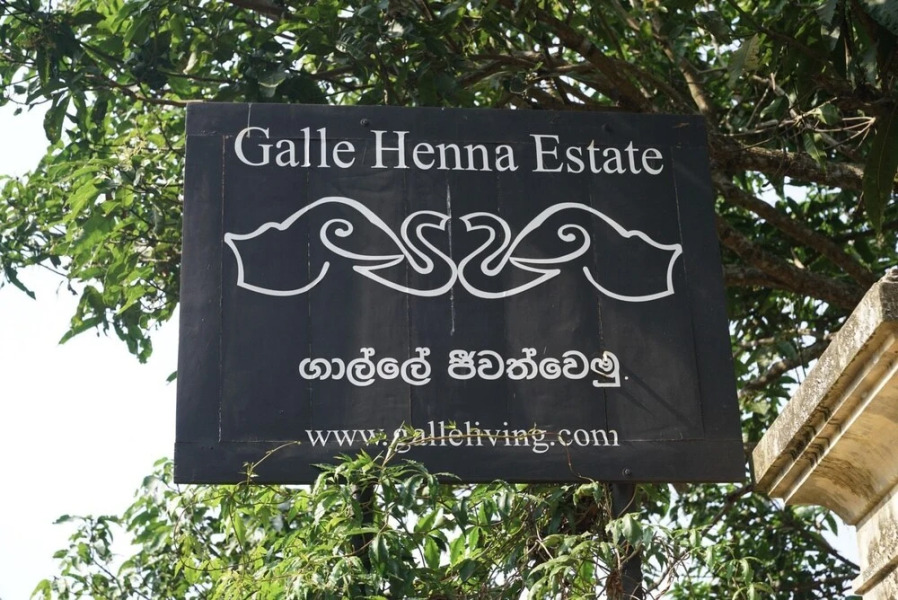 Galle Henna Estate