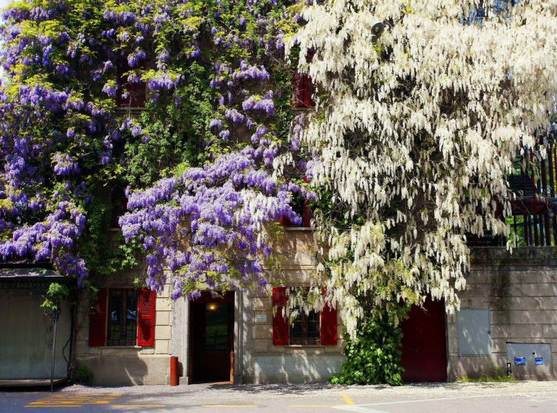 Madonnina Albergo Ristorante