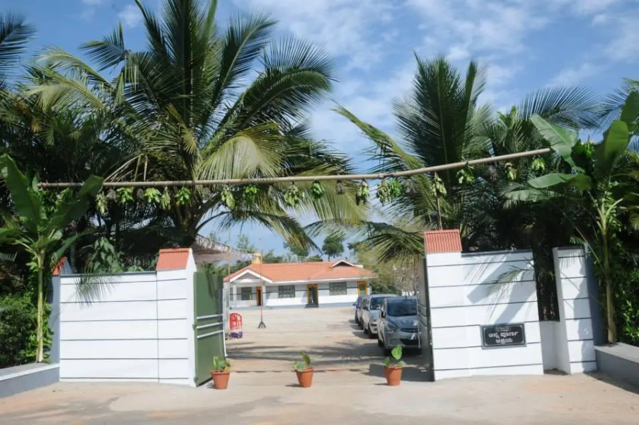 Black pepperz Gardenia