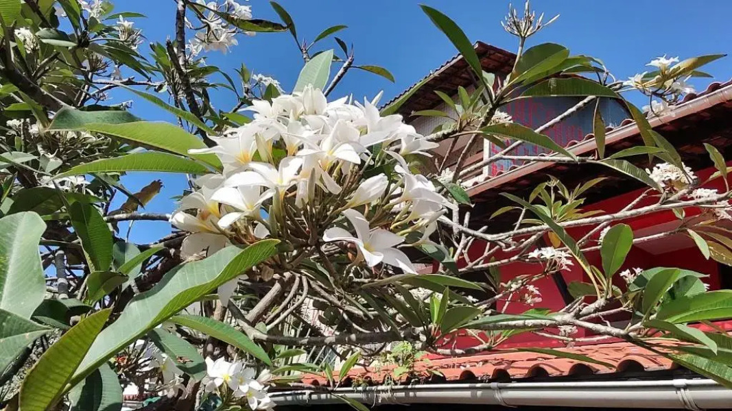 Hotel Pousada Bossa Nova