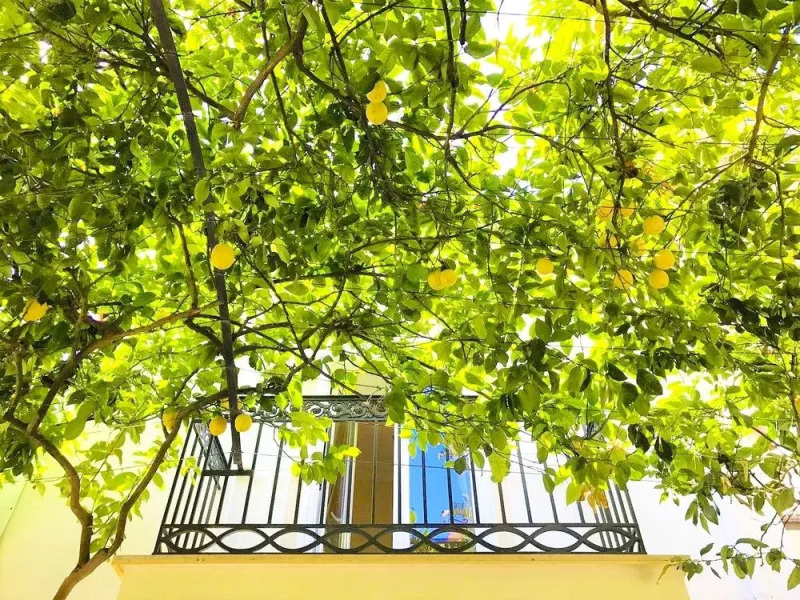 Dépendance b&b La Casetta