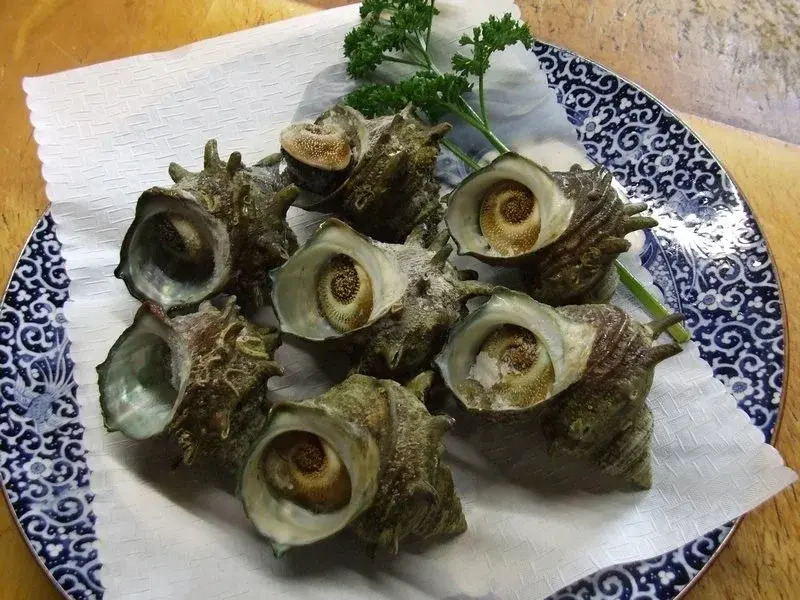 Kappo Tsuunen Minshuku Yamaya