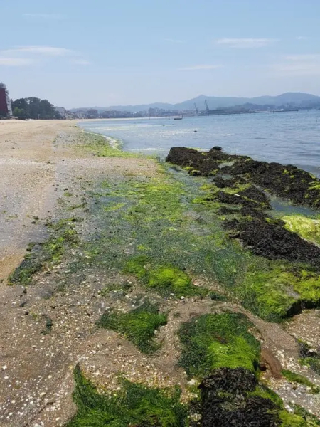 Vistas a la Ría de Arousa