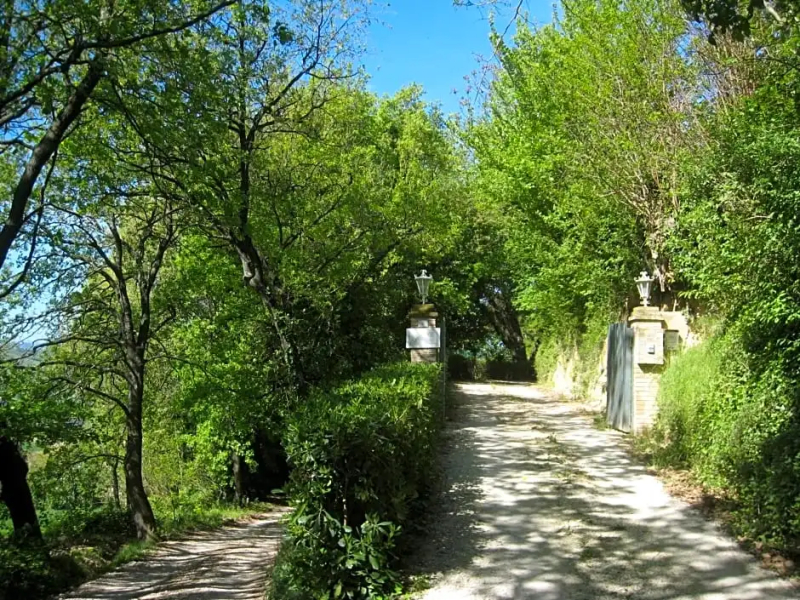 Collesole