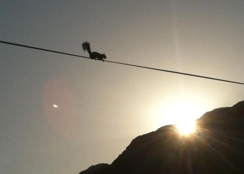 Roundhouse Guesthouse