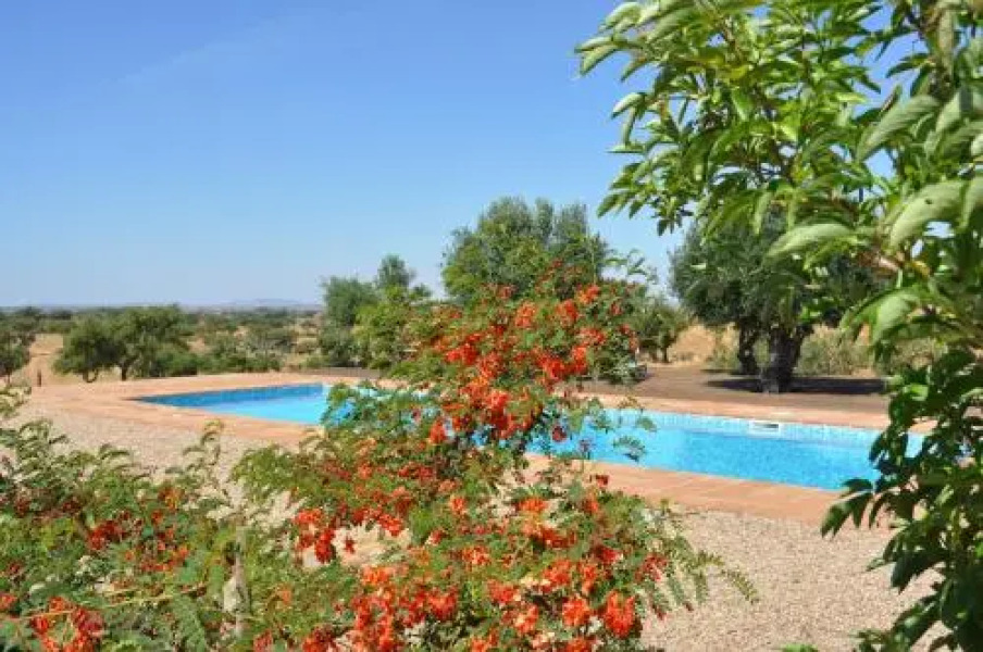 Cantar Do Grilo - Turismo Rural