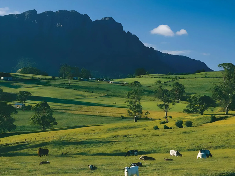 Kentish Hills Retreat