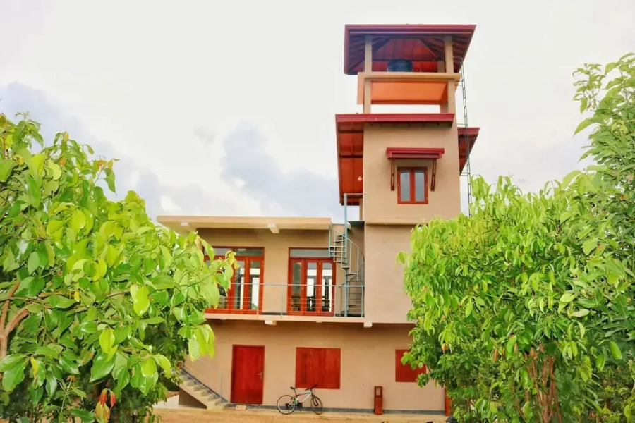 Bobos Cinnamon Estate  Sri Lanka