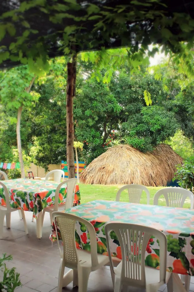 Color Hostel Palomino