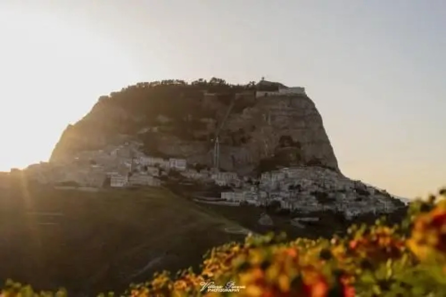 Bed and Breakfast Piazza