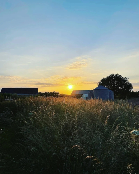 Setcops Farm Holiday Cottages