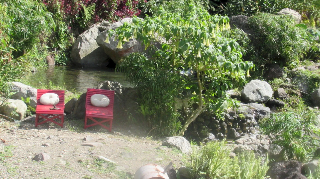 RafJam Bed & Breakfast