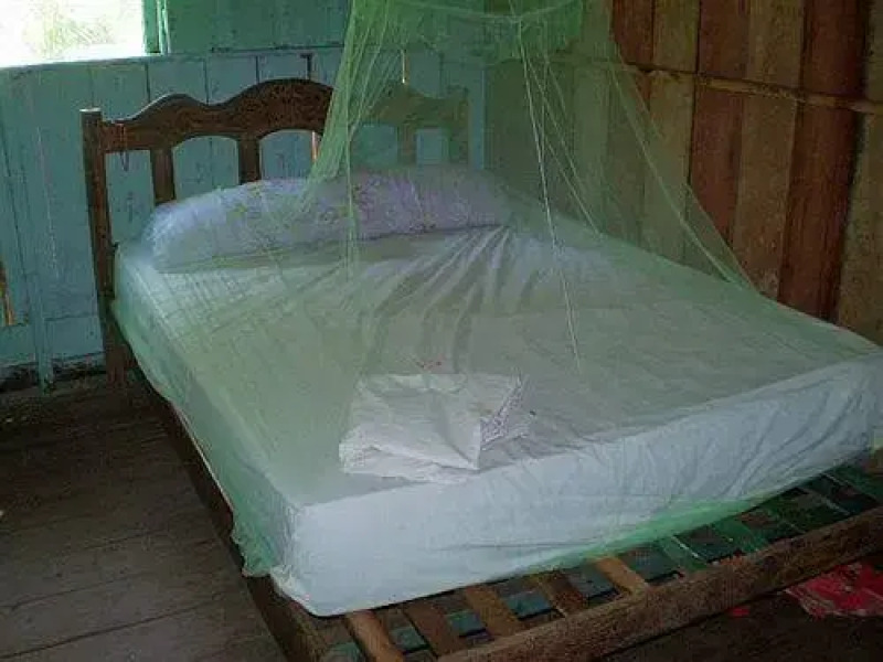 Manaus Jungle Hostel