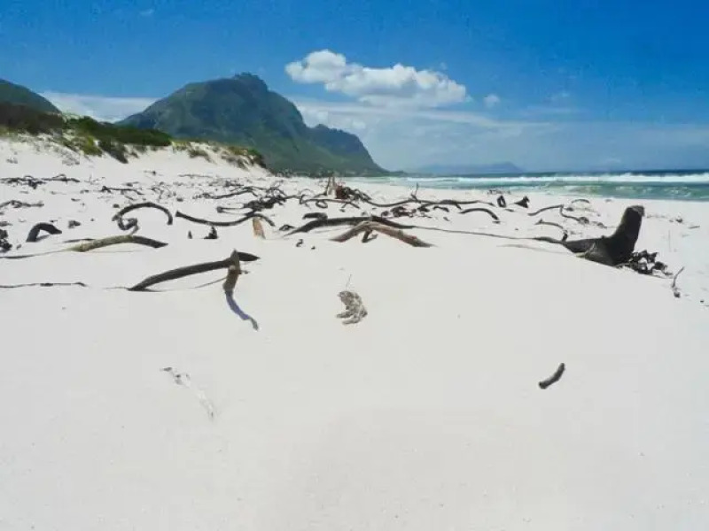 Sky house on Clarens