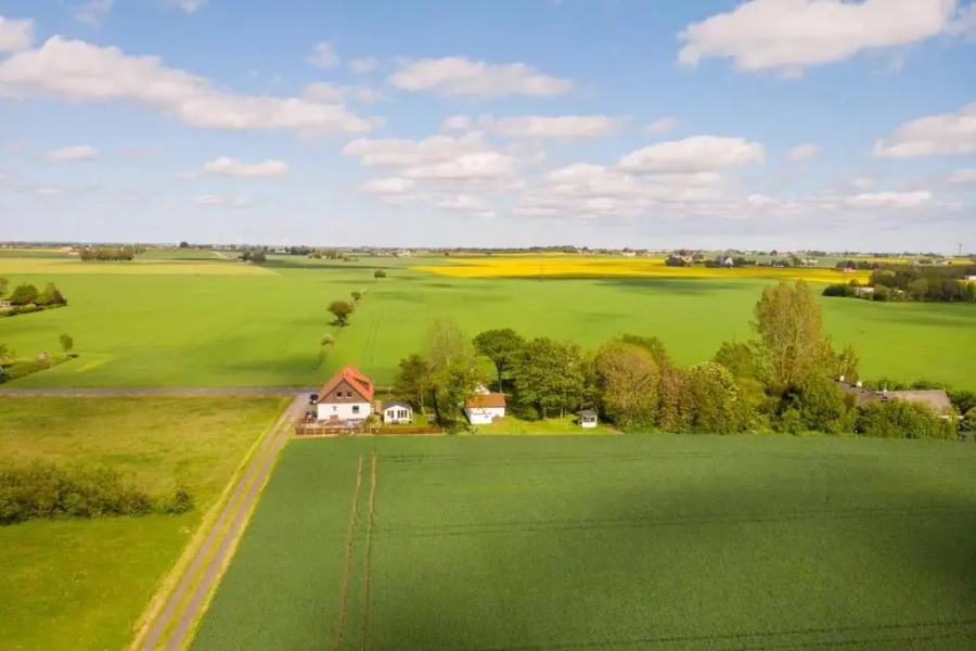 Wiroth Hannas 1910 Hammenhog