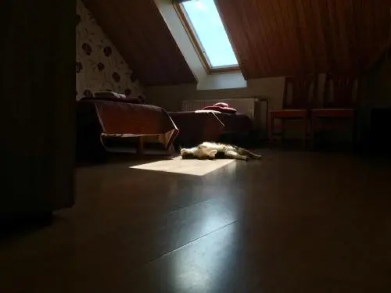 Varese Guest House