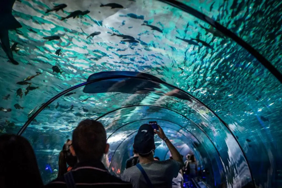 Marina Baie des Anges