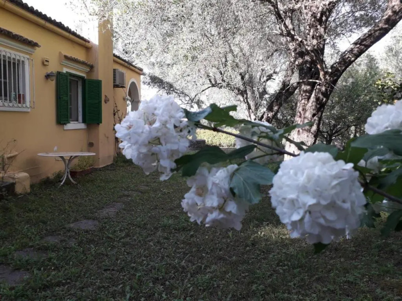 House in the Olive Garden