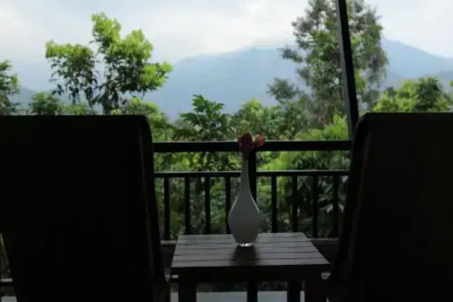 Sattva The Awakening Garden