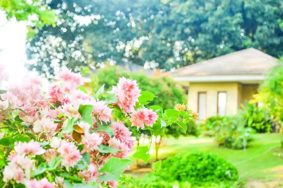 Namoon Namsai Resort