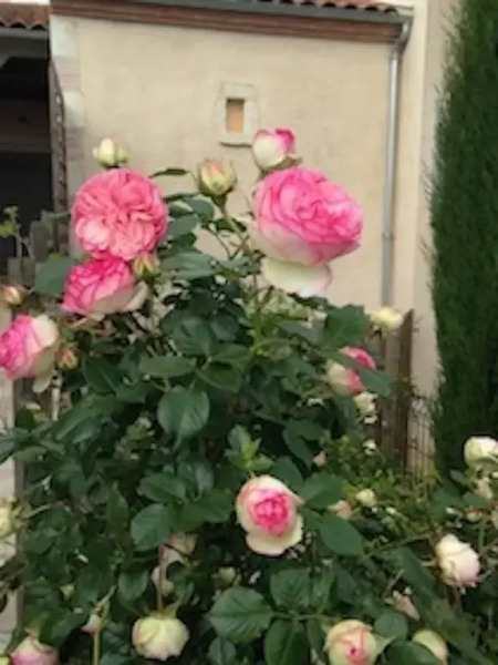 Gîte Mon village et vous