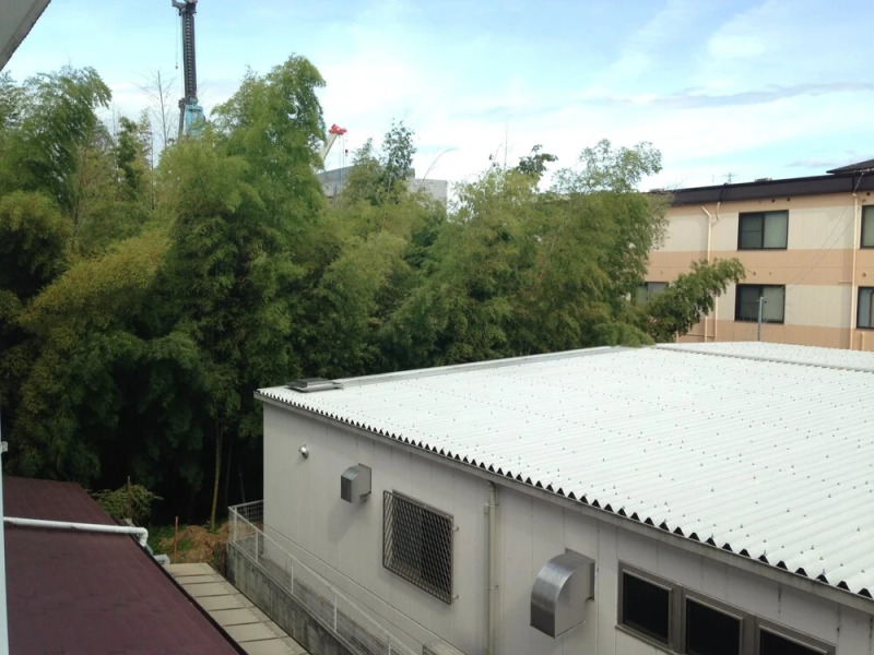 HOTEL Yancha na Koneko -Adults Only