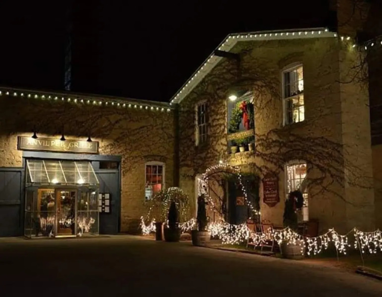 Lilly Pad Boerners Guest house